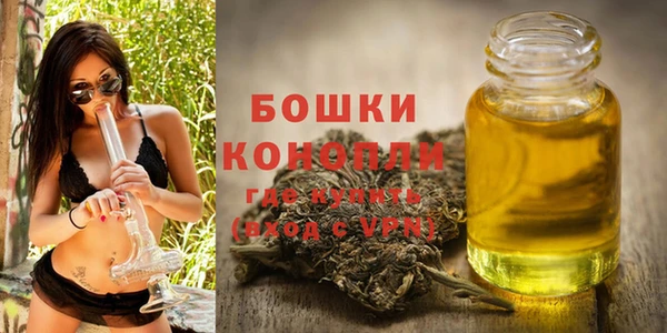 тгк Пестово